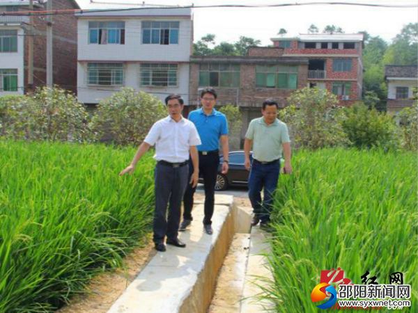 图为新邵县委书记阳晓华、副县长文宁深入酿溪镇谭婆村项目现场指导工作