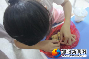 小女孩在用心制作自己的土豆电池