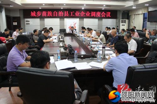 城步工业企业调度会现场