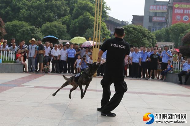 3_看图王(1)