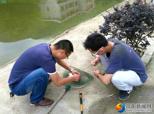 钓鱼_副本