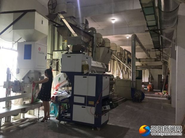 图为合作社乡香湘米业工人正在生产