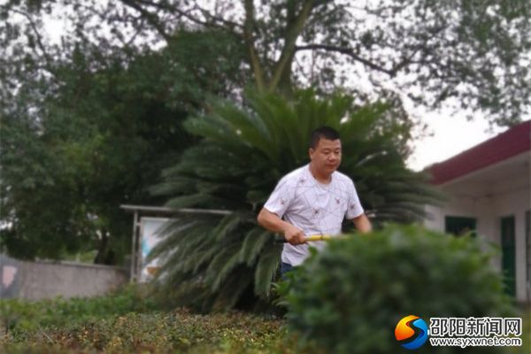 修剪花圃