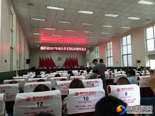 桃洪镇2017年城乡养老保险收缴督战会现场
