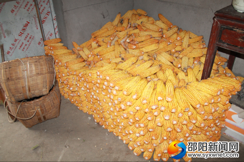 陈爷爷的劳动成果