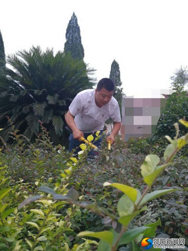 罗校长修剪花草