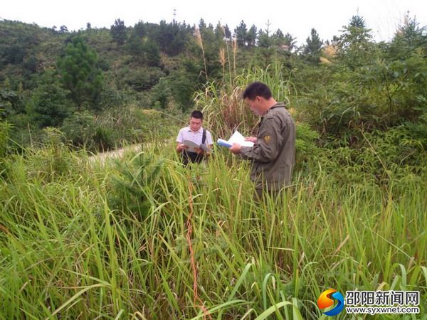 布置样点