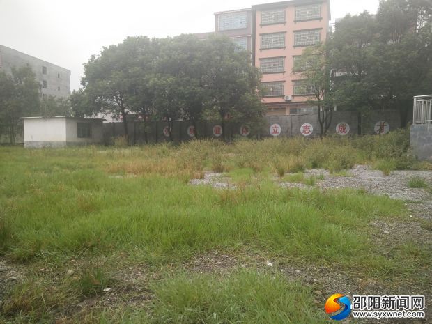 未除草前的校园