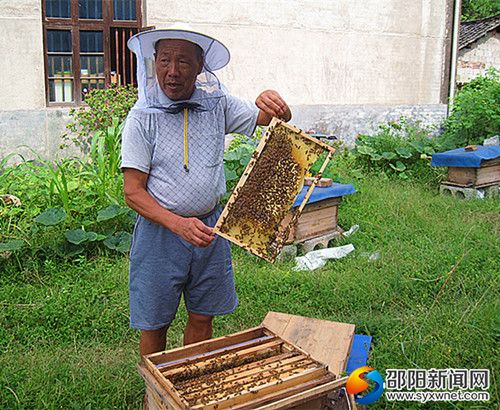图片_副本