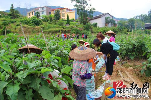 记者深入田间地头与农户进行交谈