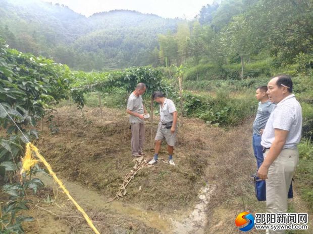 县审计局帮扶工作队陪同县农业局技术人员察看百香果长势情况