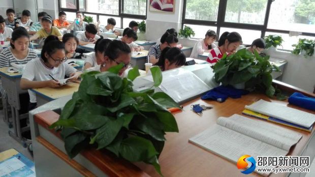 师生在绿色植物环绕中学习。