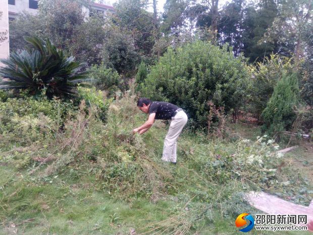 张中立校长和学生一起拔草