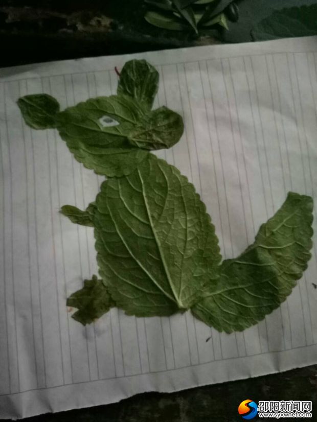学生制作的叶子画—老鼠
