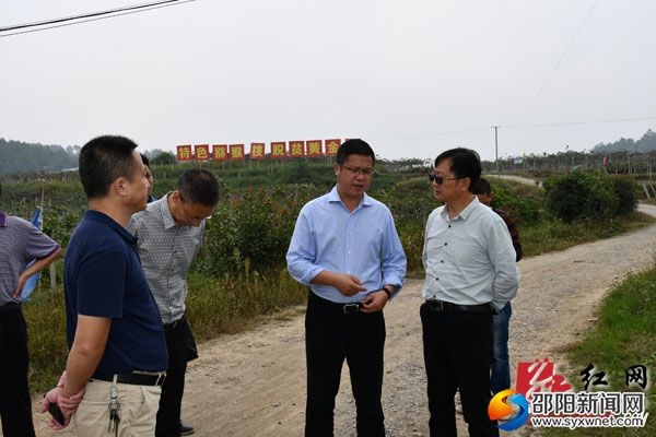 督查组一行在潭府乡玉辉农林开发有限公司猕猴桃基地实地察看