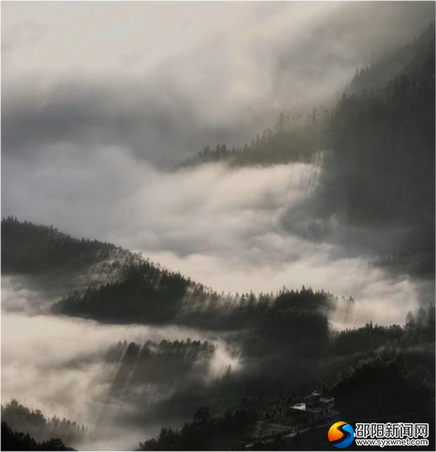 西山谢文喜4_副本