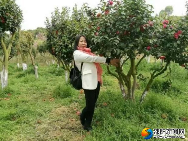 微信图片_20171020100558