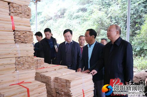 湖南南山国家公园管理局党委书记、县委书记罗建南在永丰村木材加工厂调研
