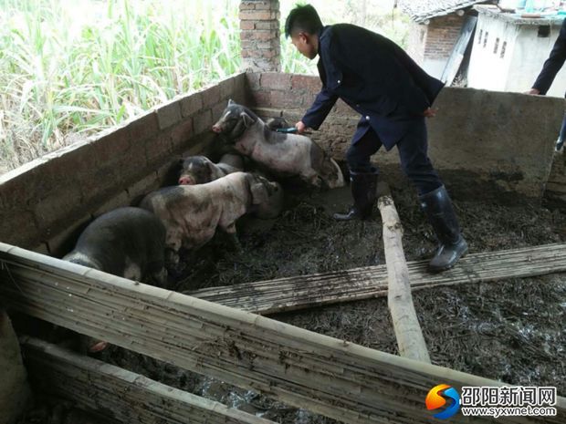 QQ图片20171027165514防_副本1000