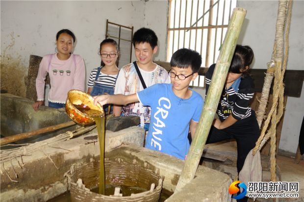 三、同学们在检验熬制好的滑叶汁DSC04904