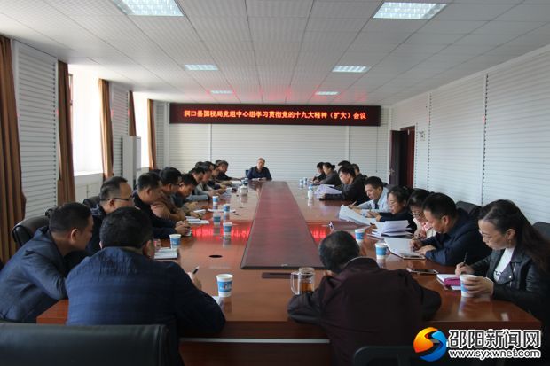 洞口县国税局党组中心组认真学习党的十九大报告精神