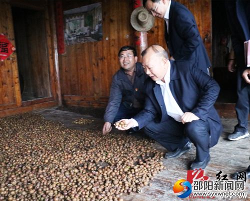 罗建南在贫困户家察看了新收的茶籽