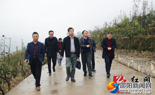 检查组一行在儒林镇白岩山村苗香梨种植基地实地查看产业扶贫落实情况