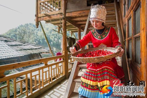 姑娘挑选红辣椒也成为一道靓丽的景观。(杨金莲摄)