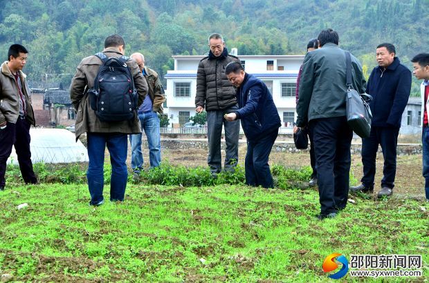 专家正在指导农户种植技术