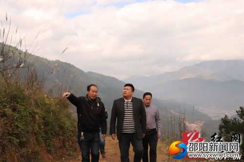 县委常委、副县长方凯实地考察苗香梨种植基地