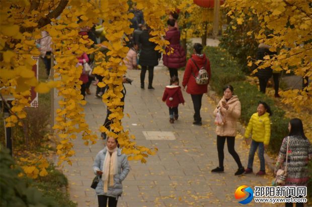 微信图片_20171204194712
