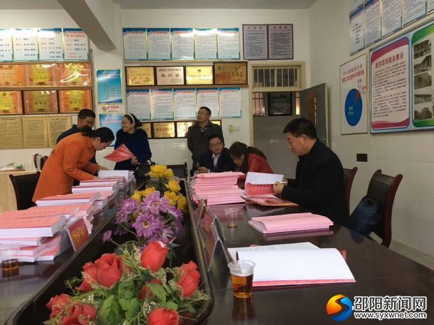 市评估专家听取汇报