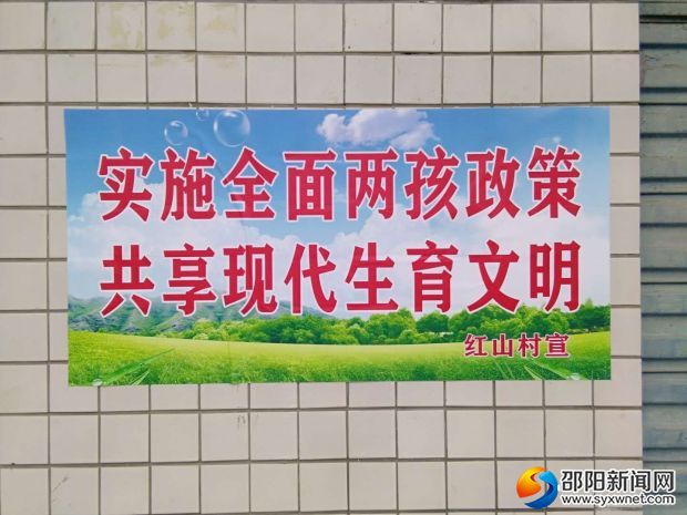 宣传单