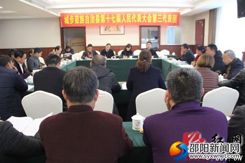 县第十七届人民代表大会第三代表团讨论现场