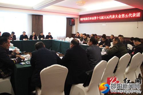 县第十七届人民代表大会第五代表团讨论现场