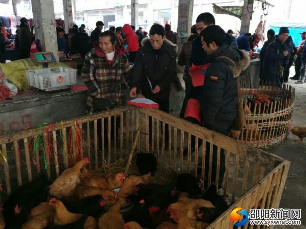 与家禽经营户签订承诺书