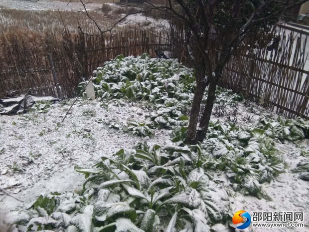 微信图片_20180126090530