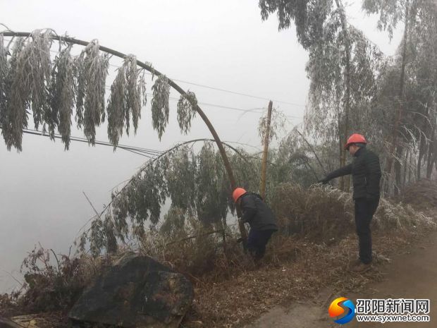 微信图片_20180126101024