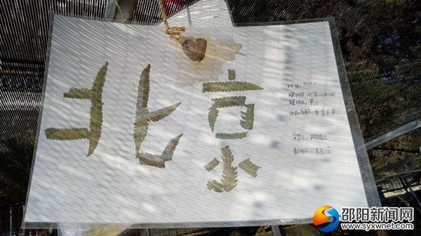 漂亮的小标本