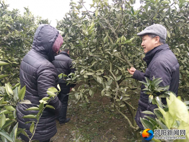 县农业局农技人员在荆竹镇指导救灾工作