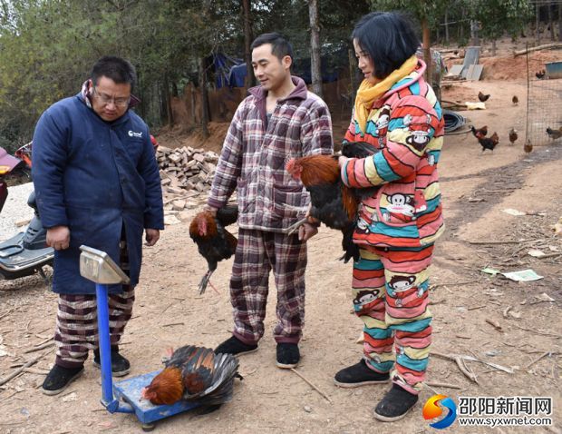 杨小毛（左）正在卖鸡