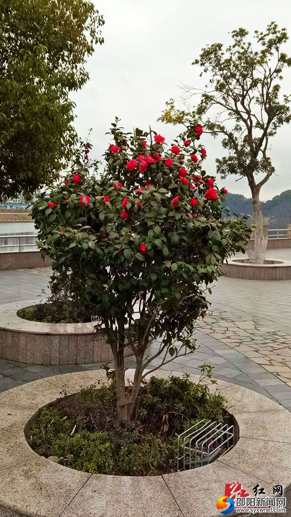 微信图片_201802221610171