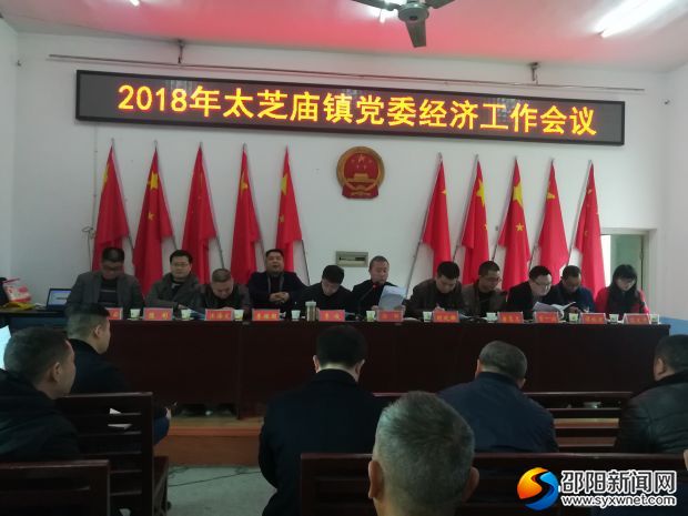 （图为大会现场）