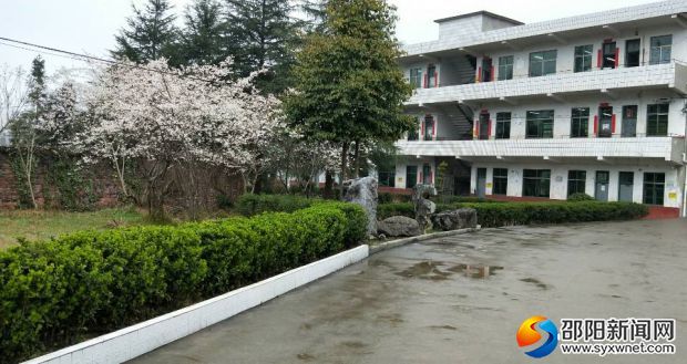 杨林镇中学校园一角