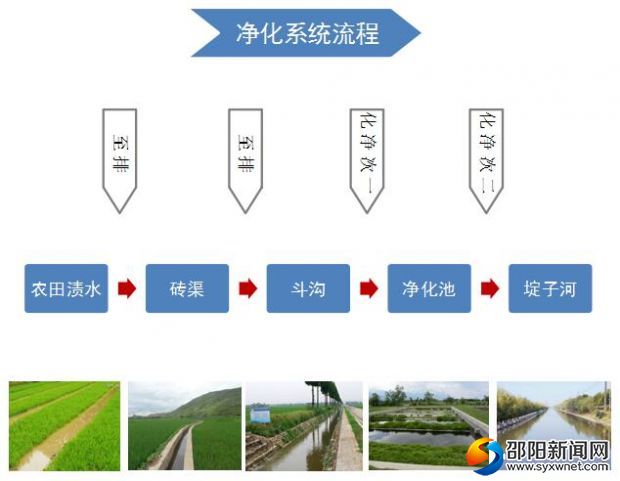 净化流程