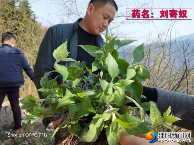微信图片_20180310100935