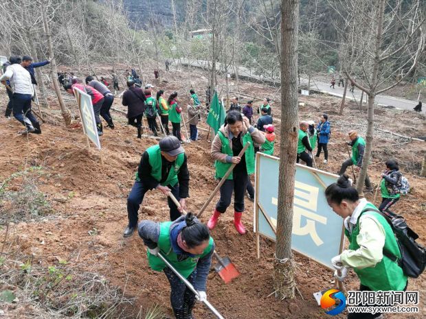 志愿者正在铲土植树