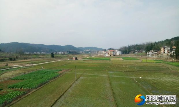 洞口县黄桥镇白云村