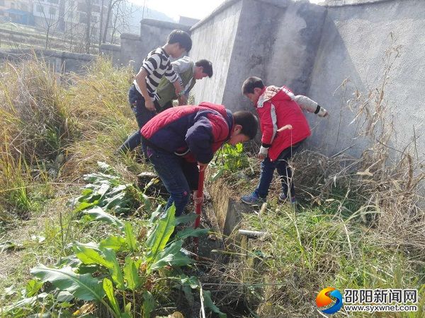 学生们正在清理围墙外的沟渠