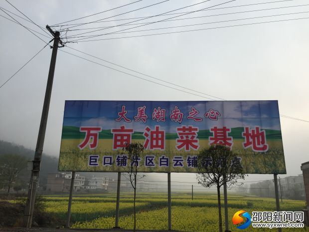 万亩油菜基地广告牌